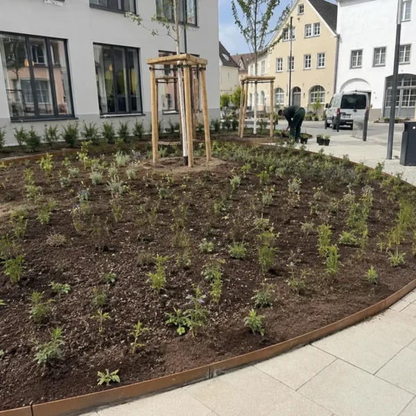 staudenpflanzung2